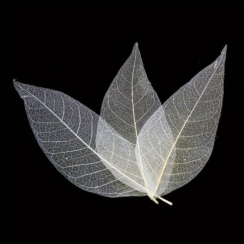 Art Craft Leaves - 10pcs Art Deco Wooden Leaf Veins