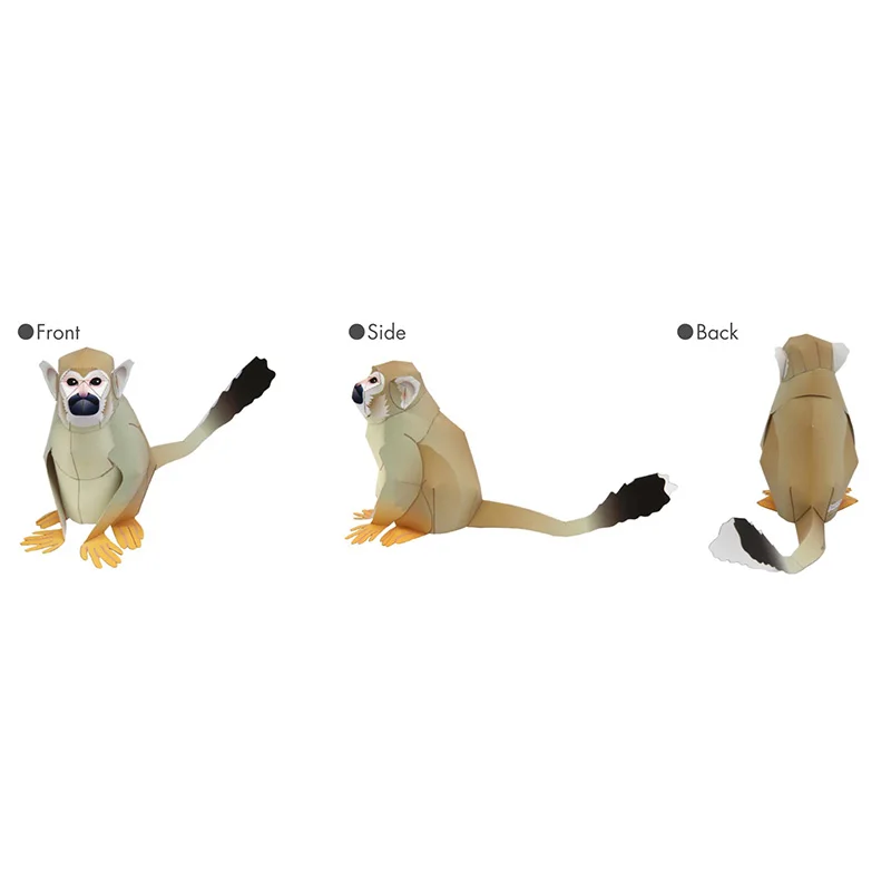 Squirrel Monkey Origami Art Fo - Art Craft Cardboard のレビューと価格