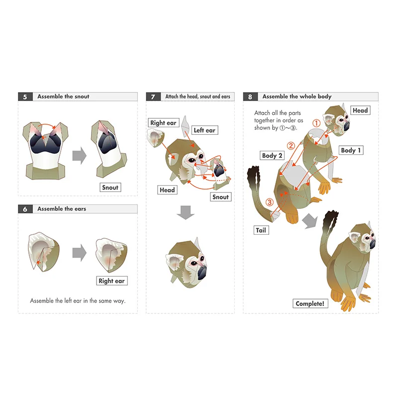 Squirrel Monkey Origami Art Fo - Art Craft Cardboard のレビューと価格