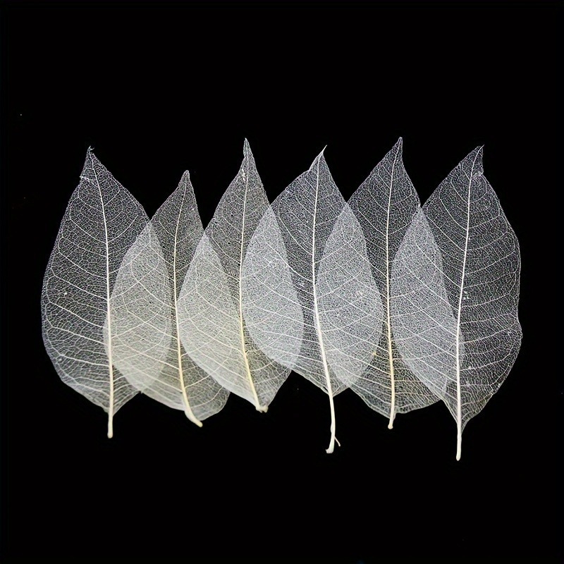 10pcs Art Deco Wooden Leaf Vei - Art Craft Leaves のレビューと価格