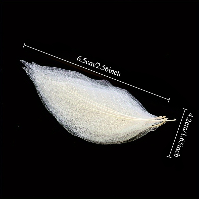 10pcs Art Deco Wooden Leaf Vei - Art Craft Leaves のレビューと価格