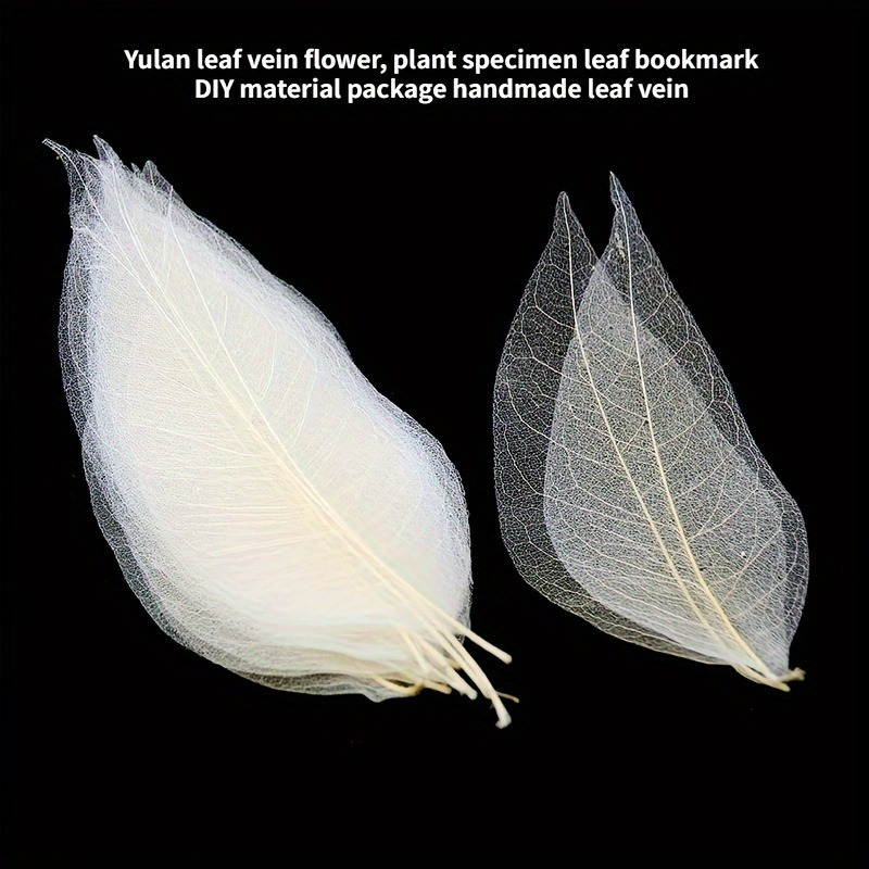 10pcs Art Deco Wooden Leaf Vei - Art Craft Leaves のレビューと価格