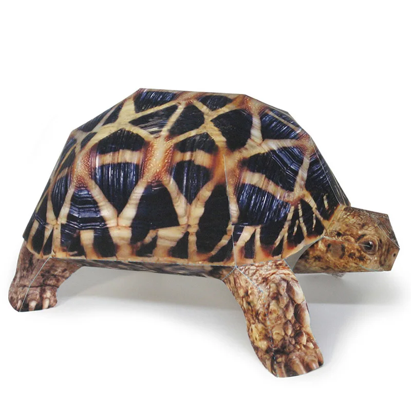 Indian Star Tortoise Paper Mod - Art Craft Cardboard のレビューと価格