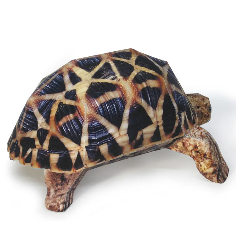 Indian Star Tortoise Paper Mod - Art Craft Cardboard のレビューと価格