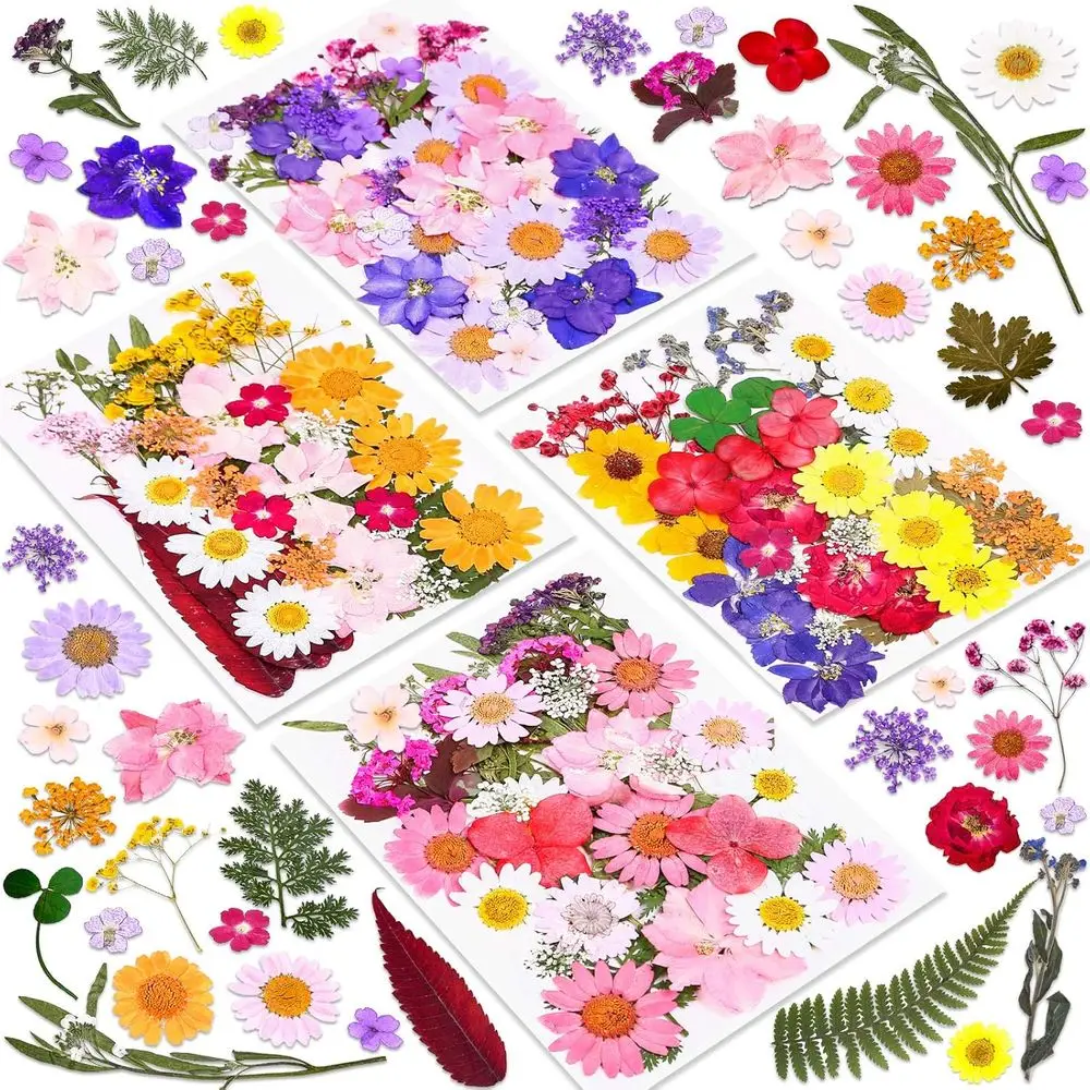 Premium Dried Predatory Plant  - Art Craft Leaves のレビューと価格