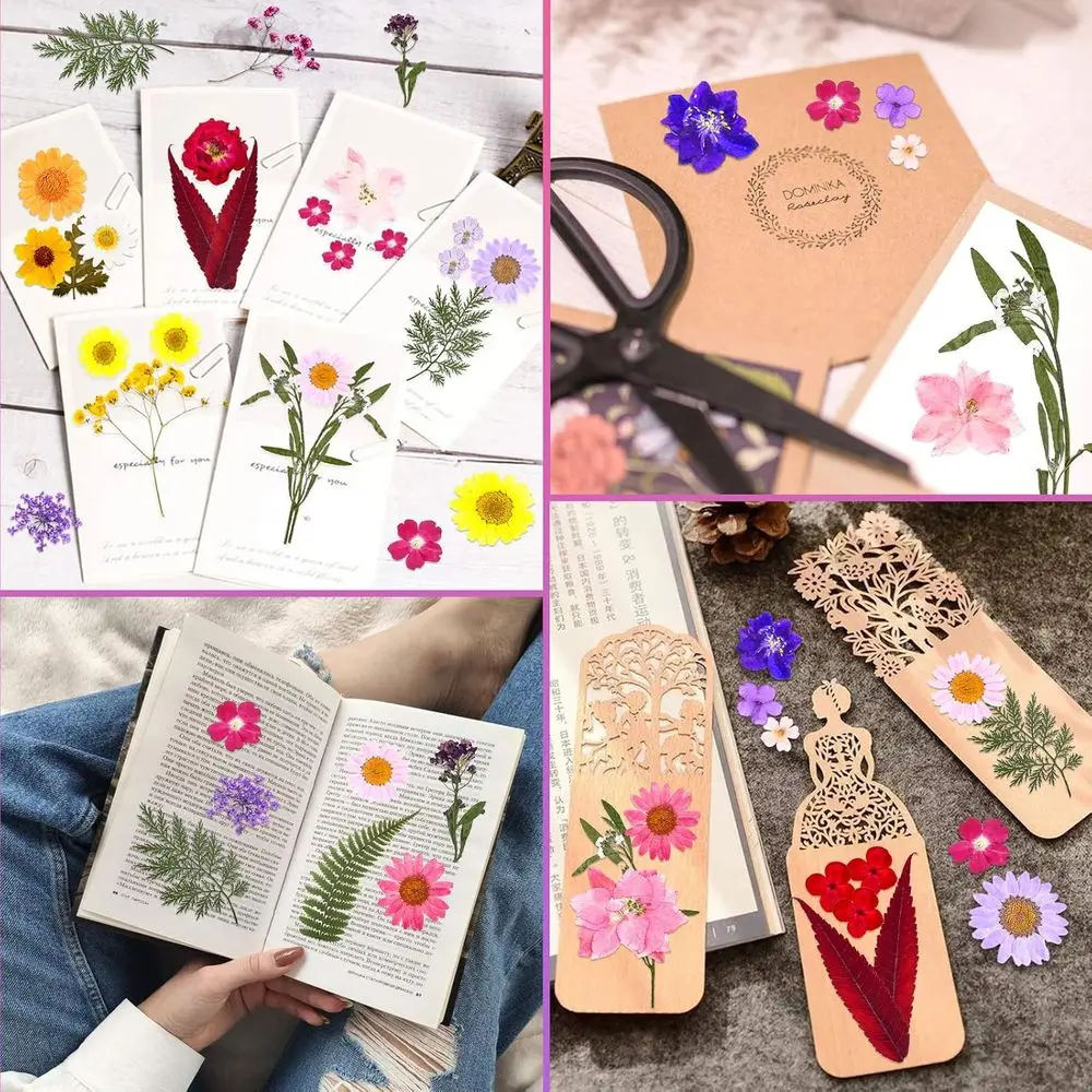 Premium Dried Predatory Plant  - Art Craft Leaves のレビューと価格