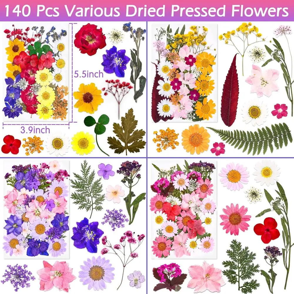 Premium Dried Predatory Plant  - Art Craft Leaves のレビューと価格