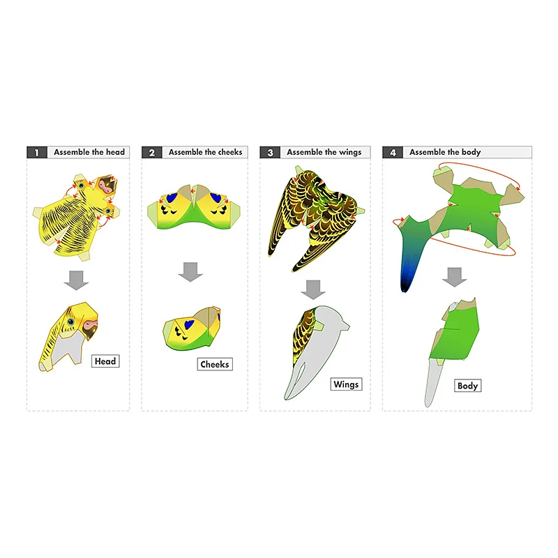 Budgerigar Parrot Bird Handmad - Art Craft Cardboard のレビューと価格