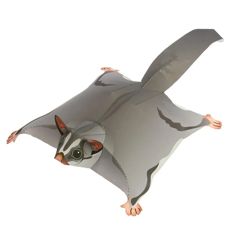 Sugar Glider Flying Mouse Hand - Art Craft Cardboard のレビューと価格