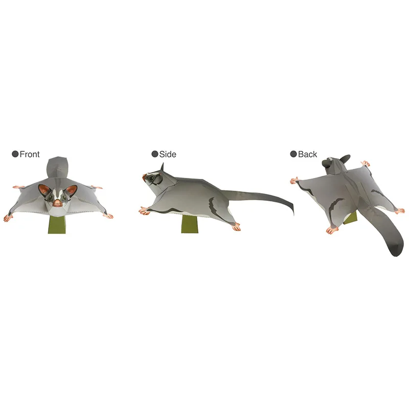 Sugar Glider Flying Mouse Hand - Art Craft Cardboard のレビューと価格