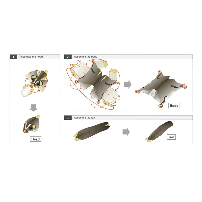 Sugar Glider Flying Mouse Hand - Art Craft Cardboard のレビューと価格
