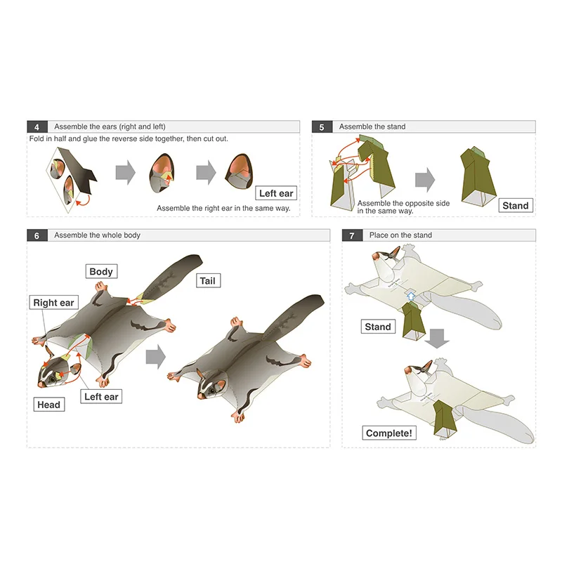 Sugar Glider Flying Mouse Hand - Art Craft Cardboard のレビューと価格