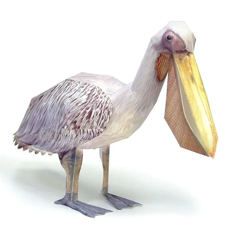 Great White Pelican Bird Paper - Art Craft Cardboard のレビューと価格