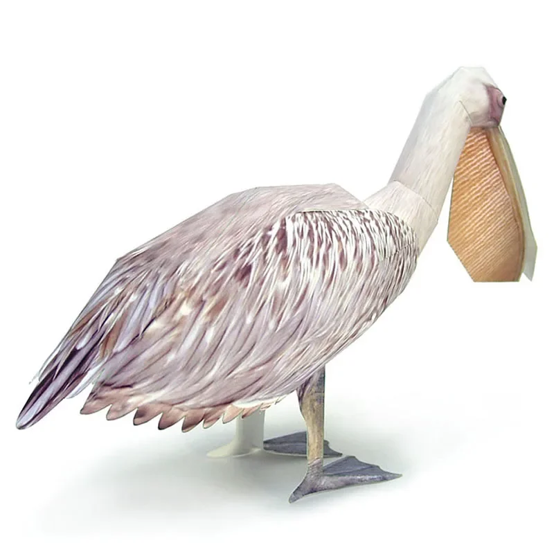 Great White Pelican Bird Paper - Art Craft Cardboard のレビューと価格